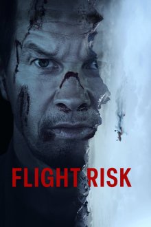 Flight Risk | خطر پرواز